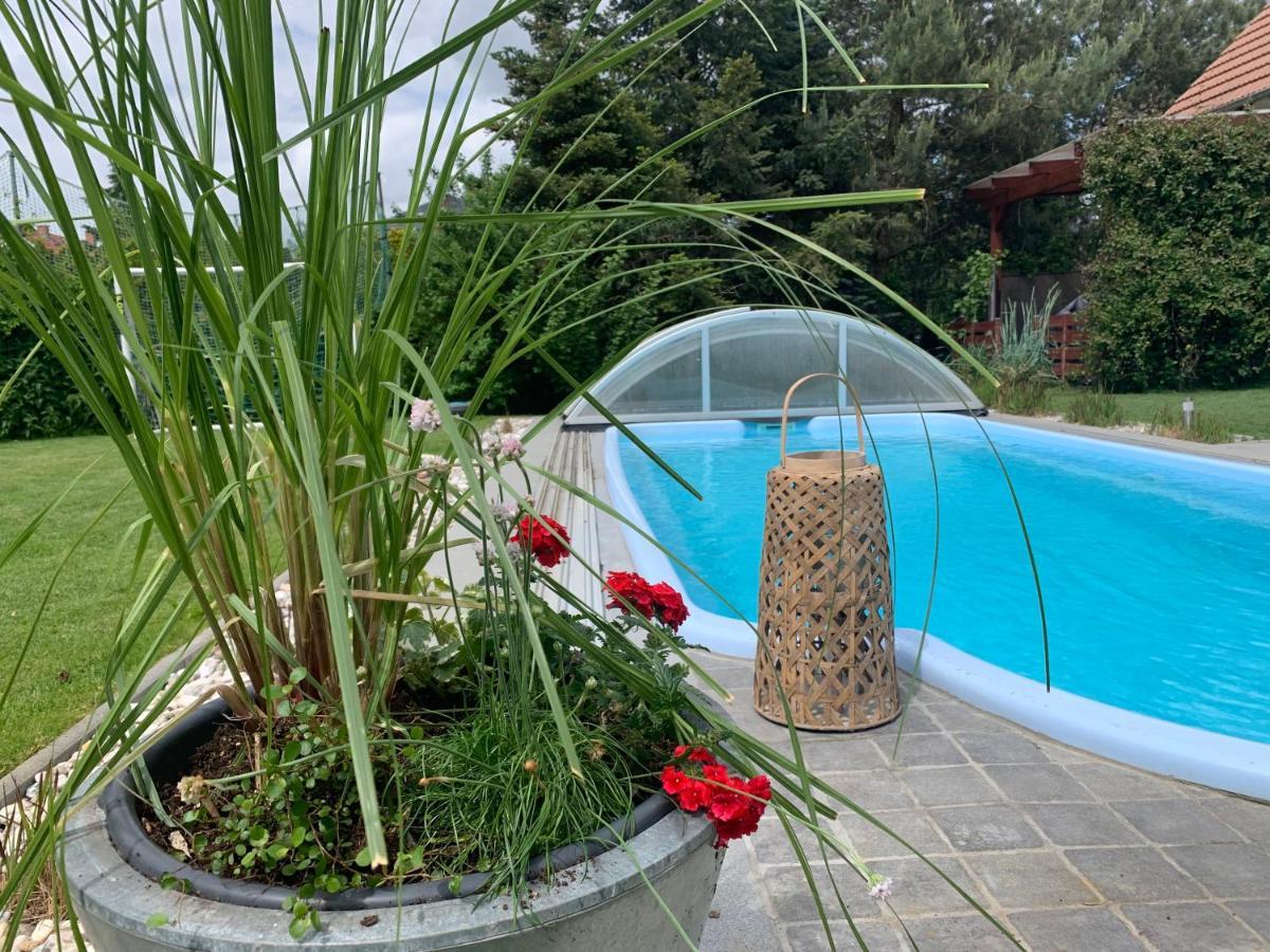 Pool & Lake Holiday Home Markkleeberg Exterior photo